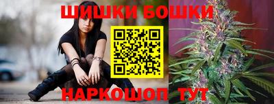 дмт Ставрополь
