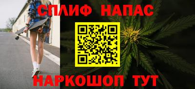 дмт Ставрополь