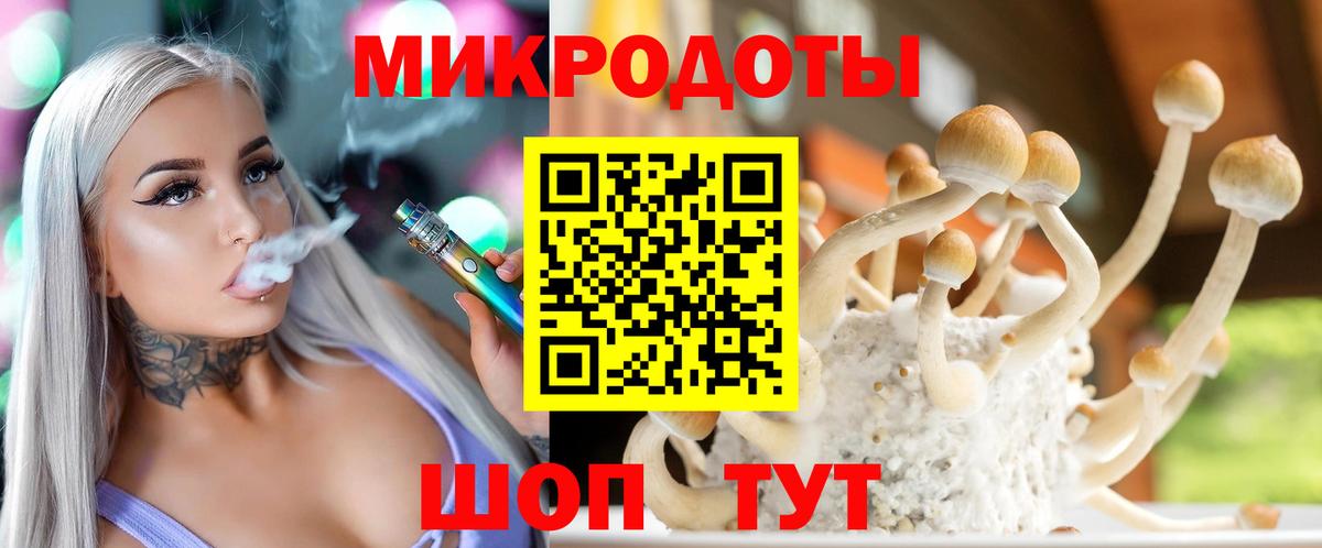 Галлюциногенные грибы MAGIC MUSHROOMS  Вход с VPN  Новодвинск 