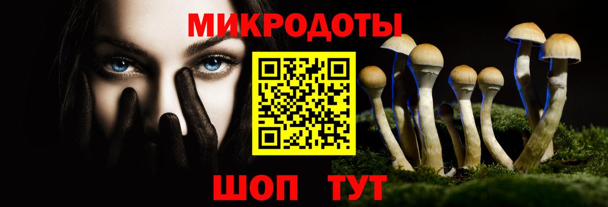 Псилоцибиновые грибы мицелий Новодвинск