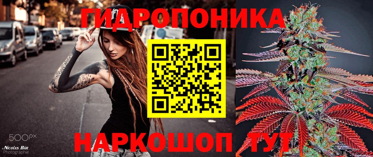 Каннабис MAZAR Новодвинск